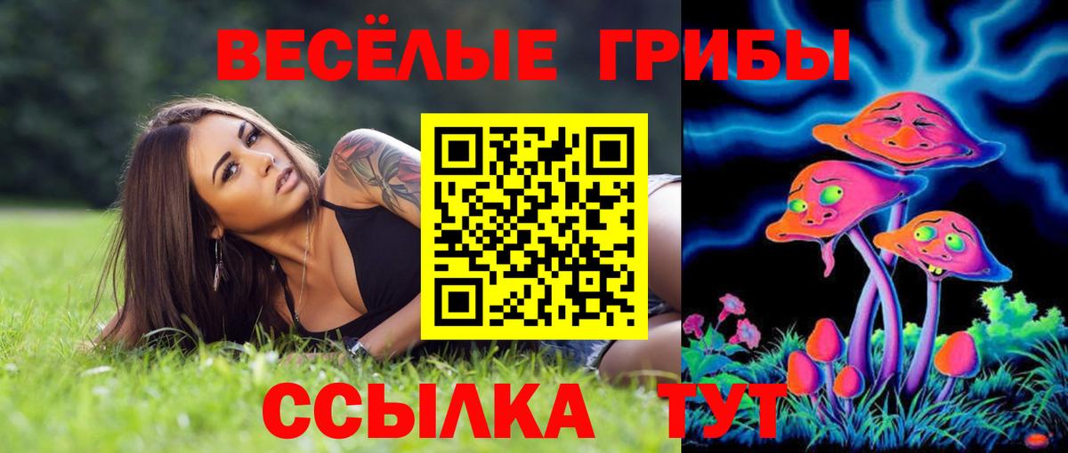 Красноперекопск  Псилоцибиновые грибы Psilocybe  Вход с VPN 